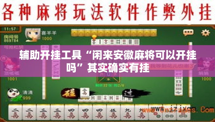 辅助开挂工具“闲来安徽麻将可以开挂吗”其实确实有挂