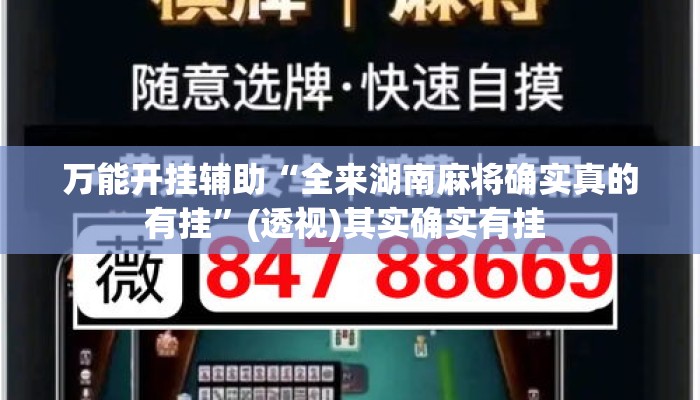 万能开挂辅助“全来湖南麻将确实真的有挂”(透视)其实确实有挂 