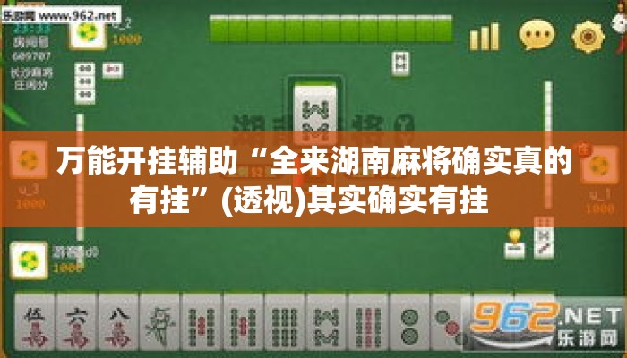 万能开挂辅助“全来湖南麻将确实真的有挂”(透视)其实确实有挂 