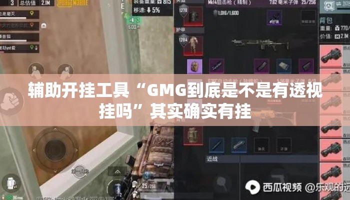 辅助开挂工具“GMG到底是不是有透视挂吗	”其实确实有挂