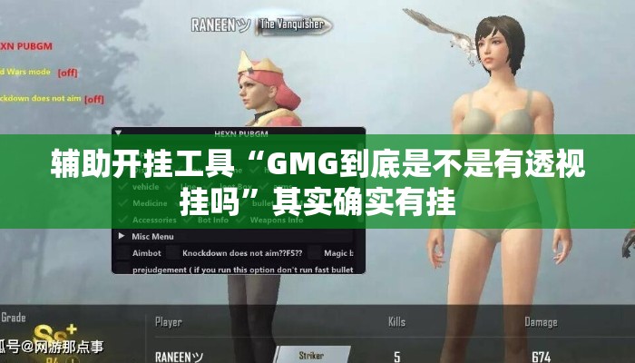 辅助开挂工具“GMG到底是不是有透视挂吗	”其实确实有挂