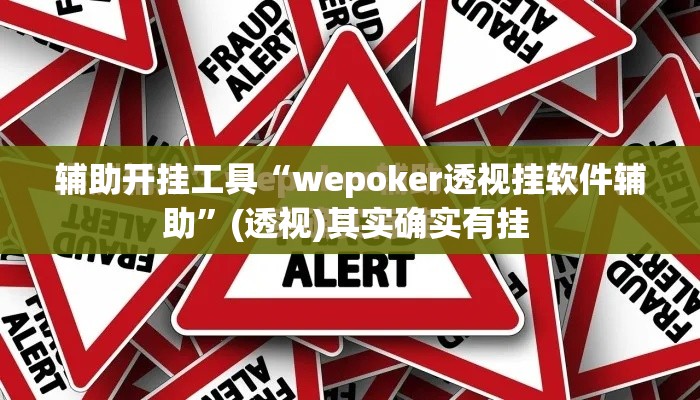 辅助开挂工具“wepoker透视挂软件辅助”(透视)其实确实有挂 