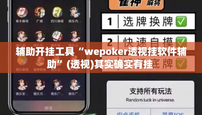 辅助开挂工具“wepoker透视挂软件辅助	”(透视)其实确实有挂 