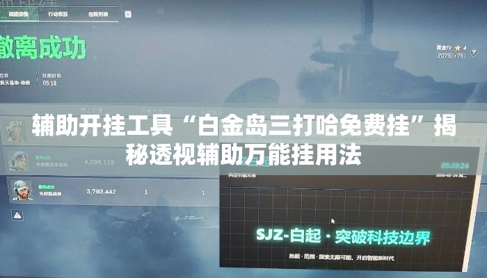 辅助开挂工具“白金岛三打哈免费挂”揭秘透视辅助万能挂用法