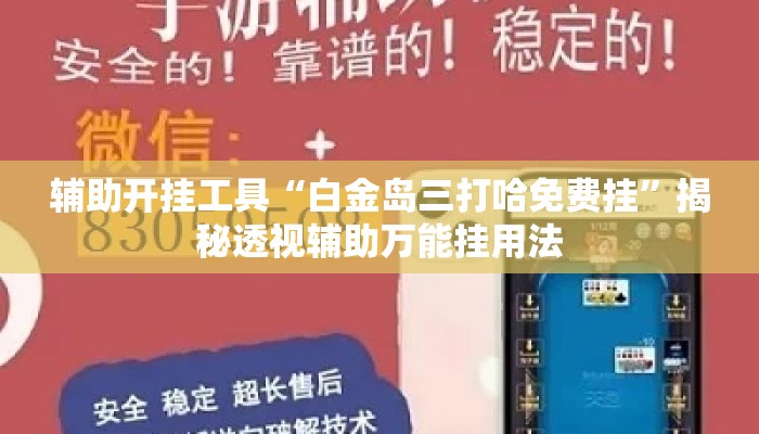 辅助开挂工具“白金岛三打哈免费挂	”揭秘透视辅助万能挂用法
