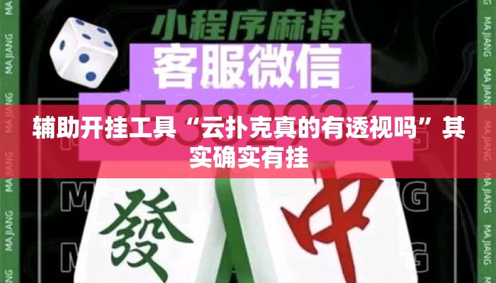 辅助开挂工具“云扑克真的有透视吗”其实确实有挂