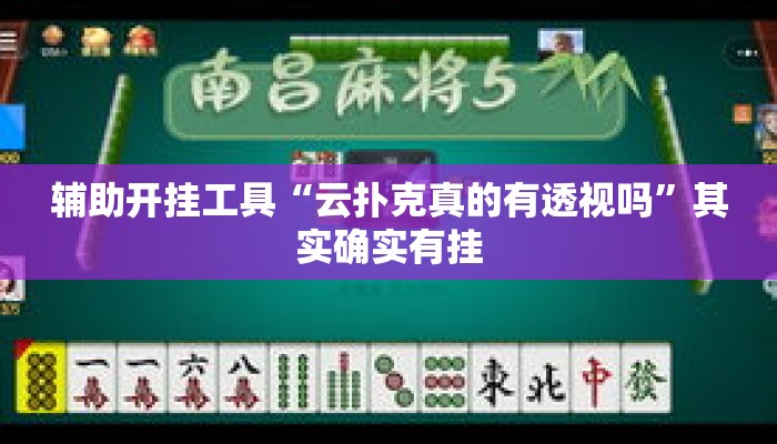 辅助开挂工具“云扑克真的有透视吗”其实确实有挂