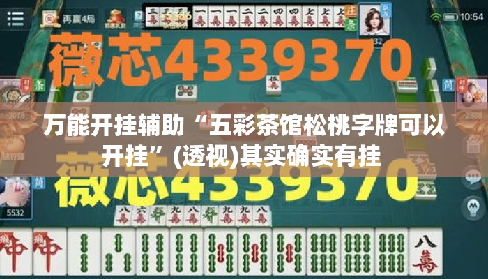 万能开挂辅助“五彩茶馆松桃字牌可以开挂”(透视)其实确实有挂 