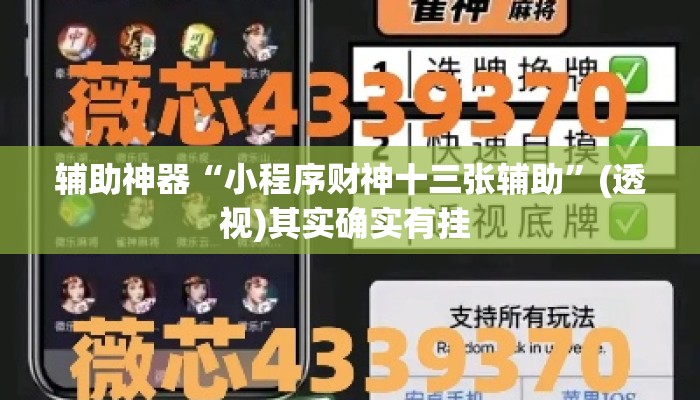 辅助神器“小程序财神十三张辅助	”(透视)其实确实有挂 