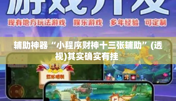 辅助神器“小程序财神十三张辅助	”(透视)其实确实有挂 