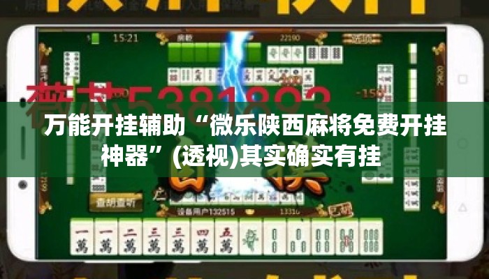 万能开挂辅助“微乐陕西麻将免费开挂神器	”(透视)其实确实有挂 
