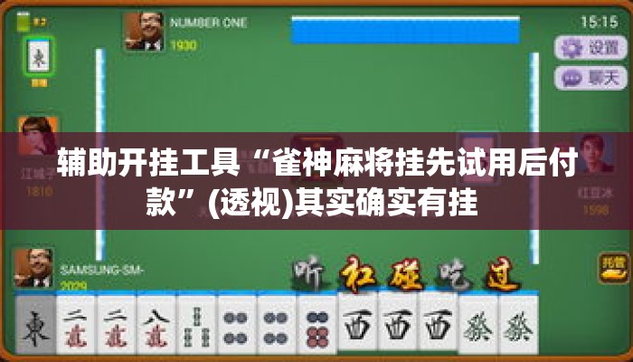 辅助开挂工具“雀神麻将挂先试用后付款	”(透视)其实确实有挂 