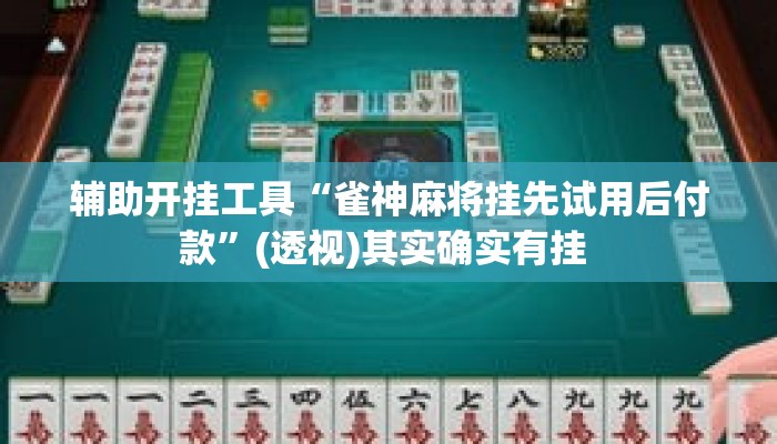 辅助开挂工具“雀神麻将挂先试用后付款”(透视)其实确实有挂 