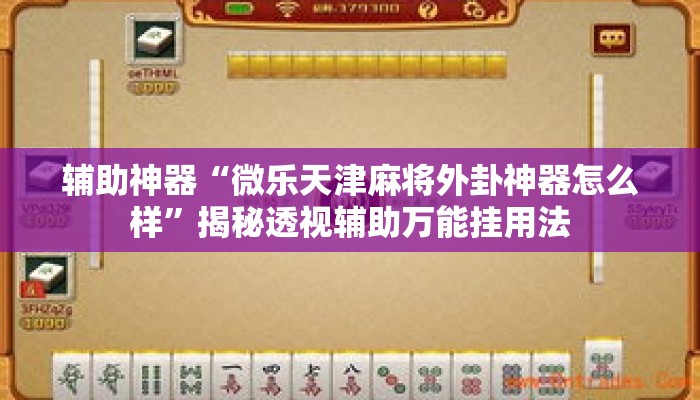 辅助神器“微乐天津麻将外卦神器怎么样”揭秘透视辅助万能挂用法