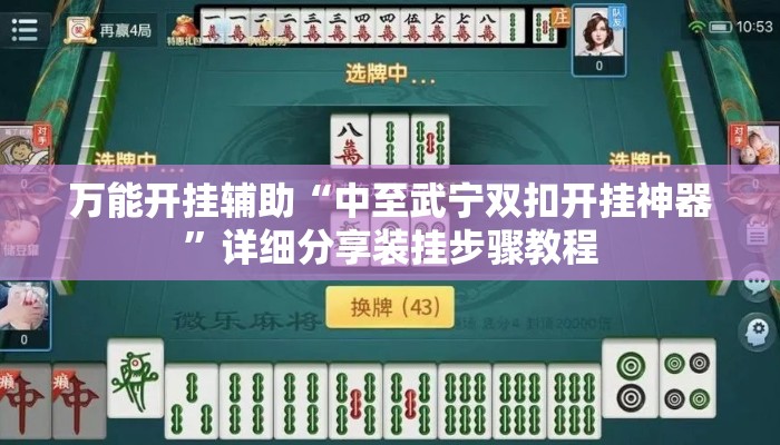 万能开挂辅助“中至武宁双扣开挂神器”详细分享装挂步骤教程