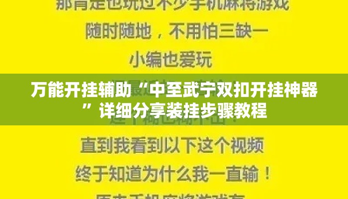万能开挂辅助“中至武宁双扣开挂神器”详细分享装挂步骤教程