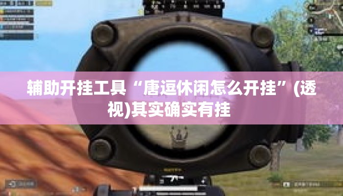 辅助开挂工具“唐逗休闲怎么开挂”(透视)其实确实有挂 