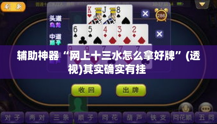 辅助神器“网上十三水怎么拿好牌	”(透视)其实确实有挂 