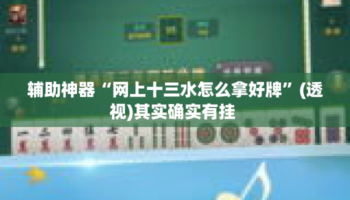 辅助神器“网上十三水怎么拿好牌	”(透视)其实确实有挂 