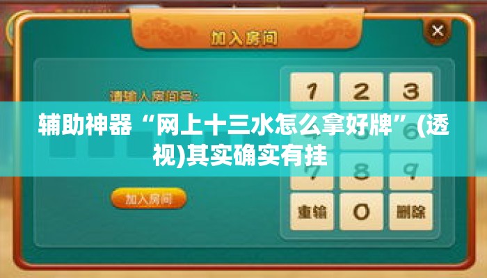 辅助神器“网上十三水怎么拿好牌”(透视)其实确实有挂 