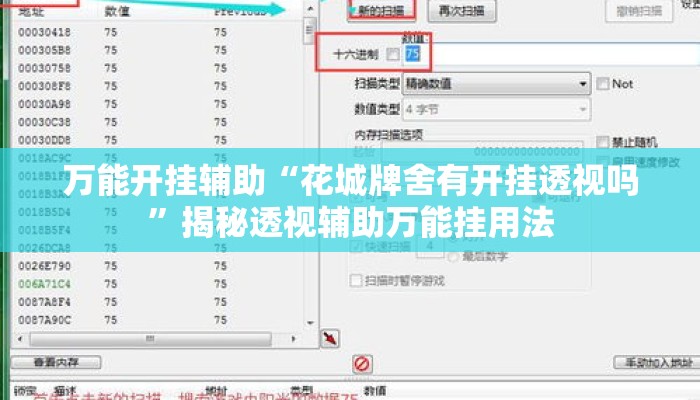万能开挂辅助“花城牌舍有开挂透视吗”揭秘透视辅助万能挂用法