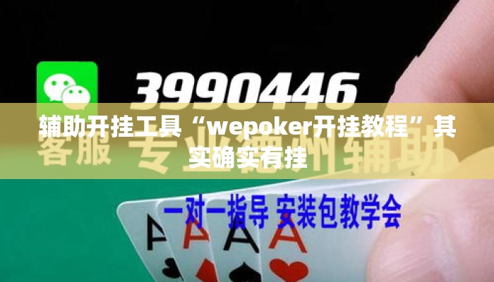 辅助开挂工具“wepoker开挂教程”其实确实有挂