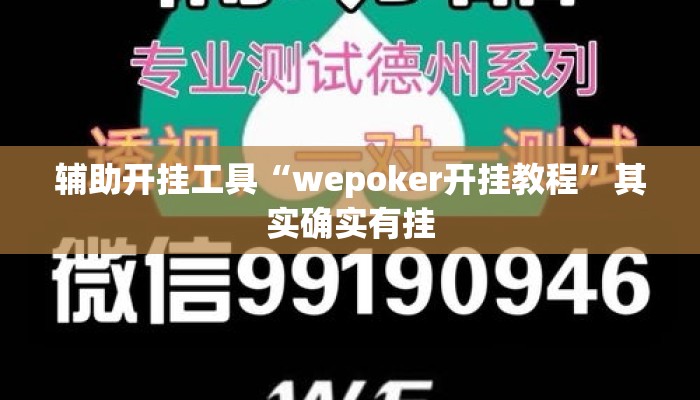 辅助开挂工具“wepoker开挂教程”其实确实有挂
