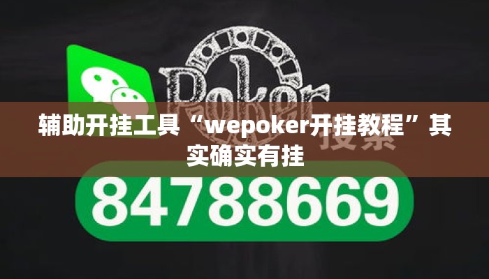 辅助开挂工具“wepoker开挂教程”其实确实有挂