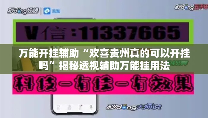 万能开挂辅助“欢喜贵州真的可以开挂吗”揭秘透视辅助万能挂用法