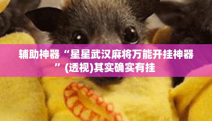 辅助神器“星星武汉麻将万能开挂神器”(透视)其实确实有挂 