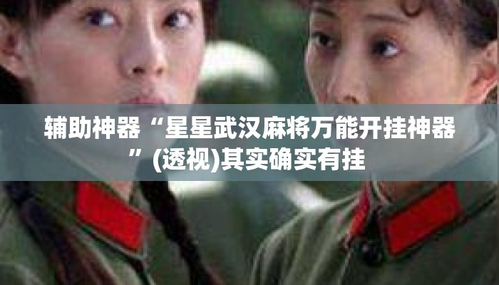 辅助神器“星星武汉麻将万能开挂神器”(透视)其实确实有挂 