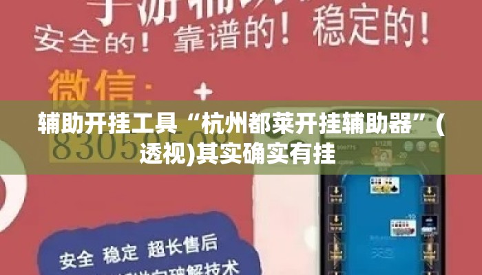 辅助开挂工具“杭州都莱开挂辅助器	”(透视)其实确实有挂 