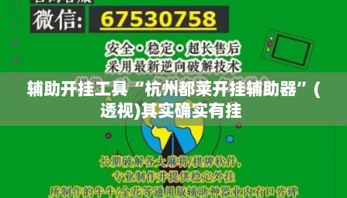 辅助开挂工具“杭州都莱开挂辅助器”(透视)其实确实有挂 