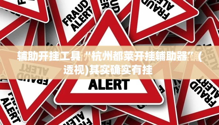 辅助开挂工具“杭州都莱开挂辅助器”(透视)其实确实有挂 