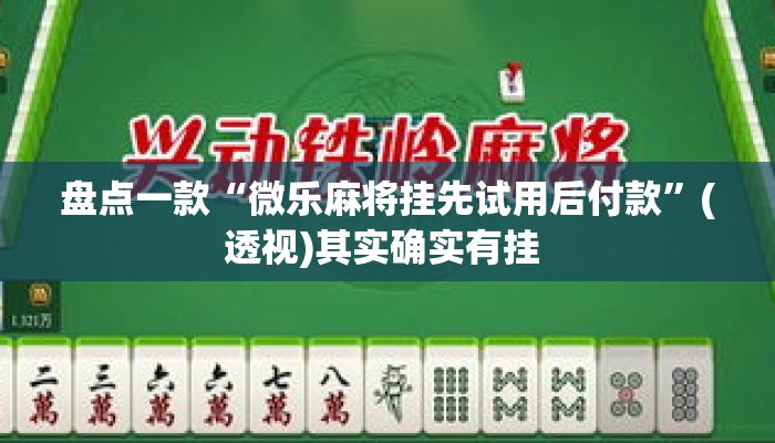 盘点一款“微乐麻将挂先试用后付款”(透视)其实确实有挂 