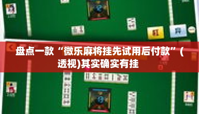 盘点一款“微乐麻将挂先试用后付款”(透视)其实确实有挂 