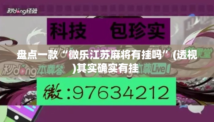 盘点一款“微乐江苏麻将有挂吗”(透视)其实确实有挂 