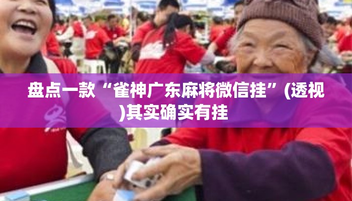 盘点一款“雀神广东麻将微信挂	”(透视)其实确实有挂 
