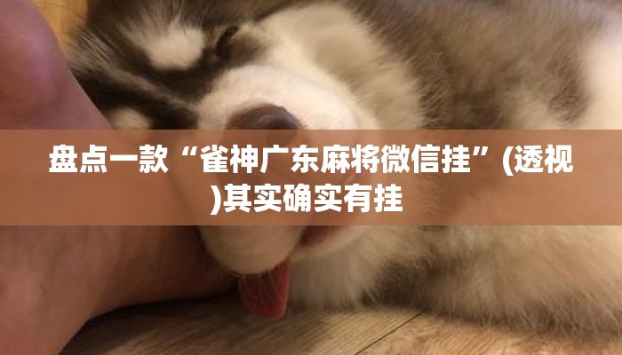 盘点一款“雀神广东麻将微信挂”(透视)其实确实有挂 