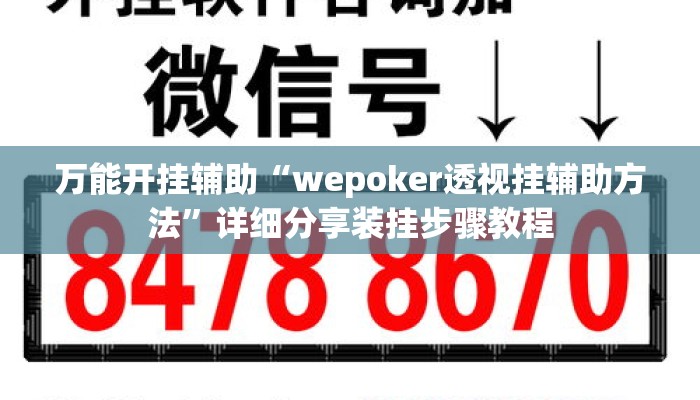 万能开挂辅助“wepoker透视挂辅助方法”详细分享装挂步骤教程
