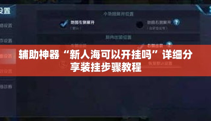 辅助神器“新人海可以开挂吗”详细分享装挂步骤教程
