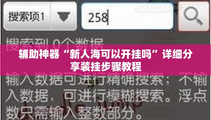 辅助神器“新人海可以开挂吗”详细分享装挂步骤教程