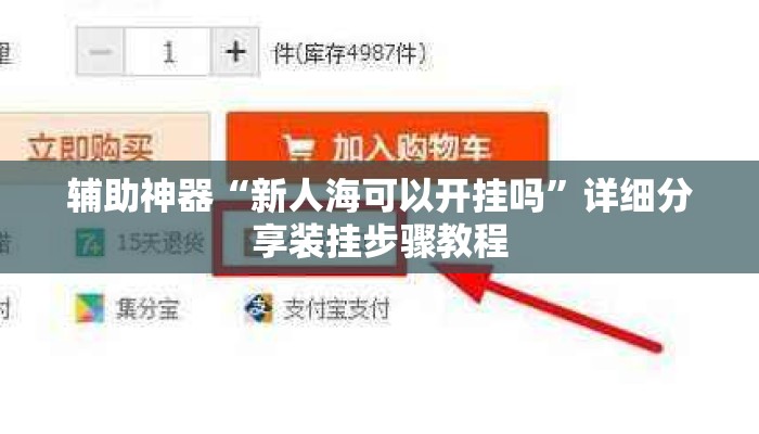 辅助神器“新人海可以开挂吗	”详细分享装挂步骤教程