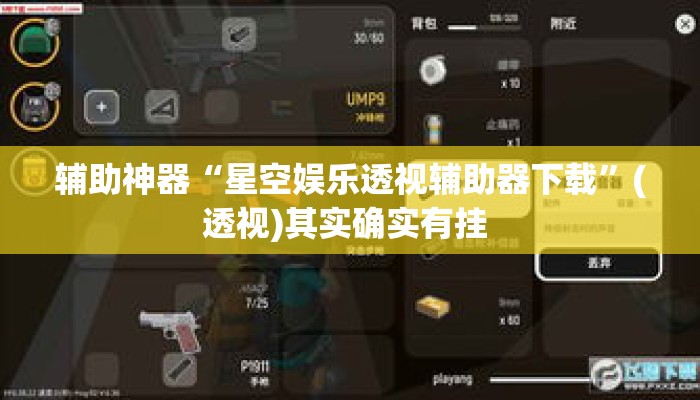 辅助神器“星空娱乐透视辅助器下载”(透视)其实确实有挂 