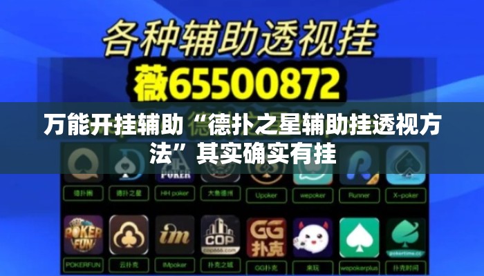 万能开挂辅助“德扑之星辅助挂透视方法	”其实确实有挂