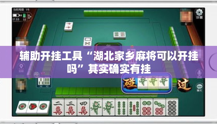 辅助开挂工具“湖北家乡麻将可以开挂吗”其实确实有挂