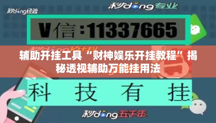 辅助开挂工具“财神娱乐开挂教程”揭秘透视辅助万能挂用法