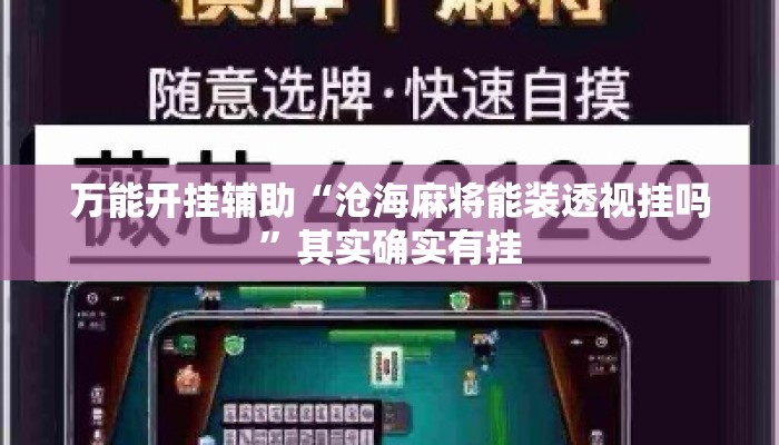 万能开挂辅助“沧海麻将能装透视挂吗	”其实确实有挂