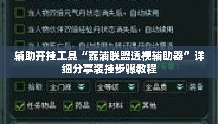辅助开挂工具“荔浦联盟透视辅助器”详细分享装挂步骤教程