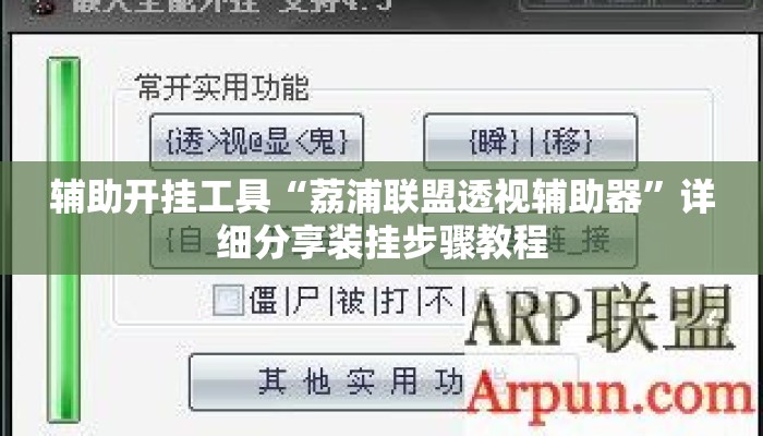辅助开挂工具“荔浦联盟透视辅助器	”详细分享装挂步骤教程